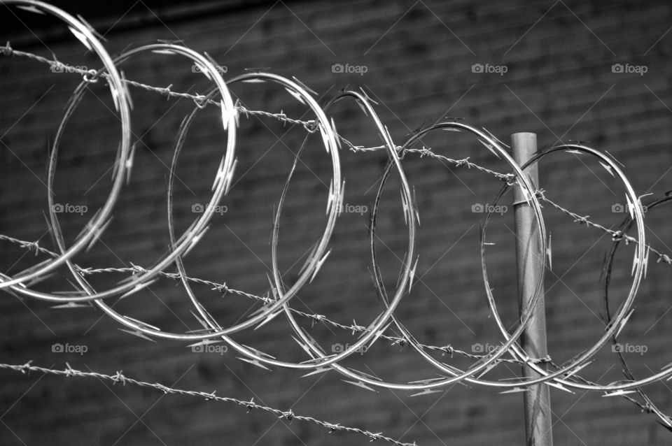 Fancy Barbed Wire
