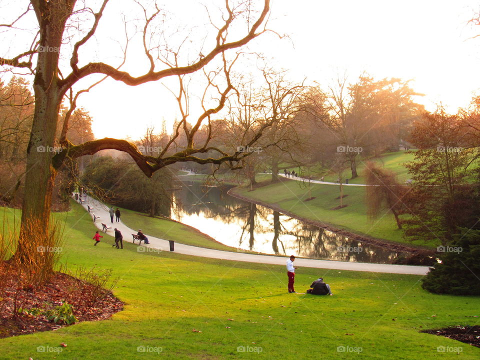 in the park