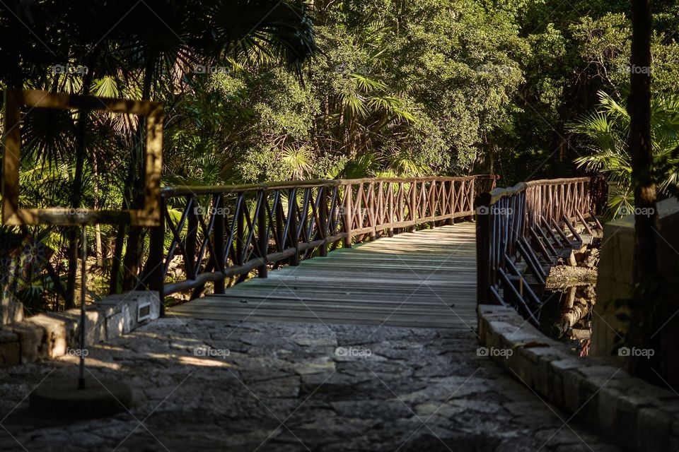 Wooden bridge crossing a cenote in the Mayan Riviera in Mexico.