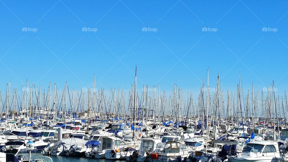Boats parked in harbor