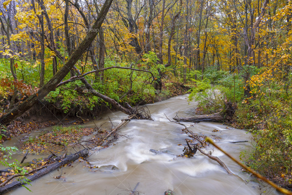 Flowing creek on a rainy day in the fall, with colorful leaves.