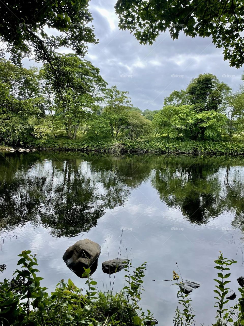 Local River Walk 