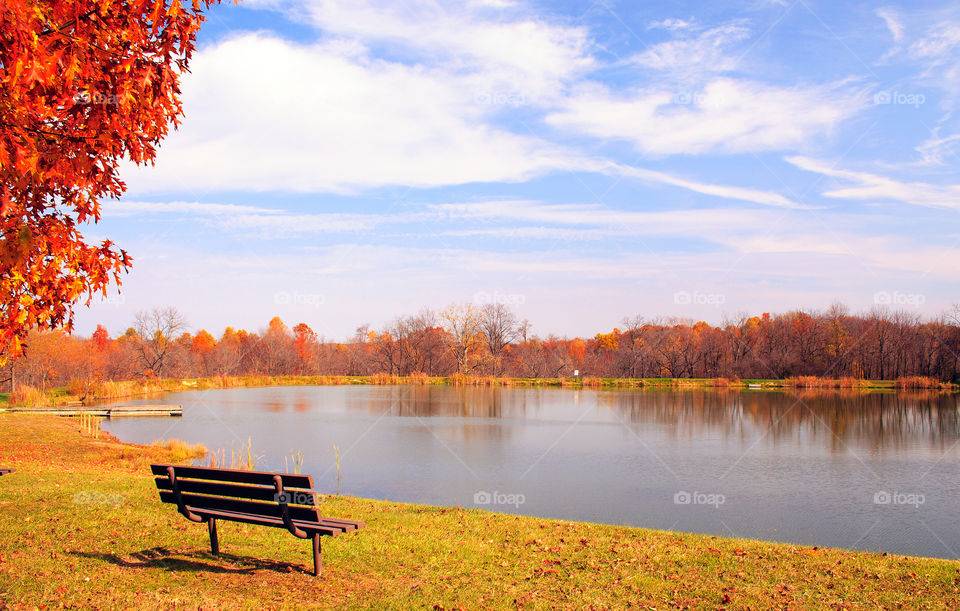 Reflection of autumn trees at lake