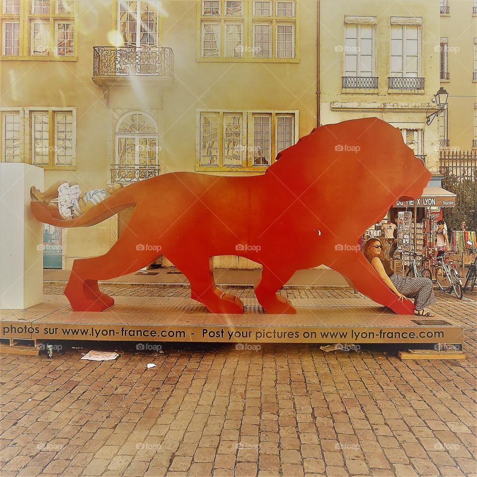 Un lion à Lyon 