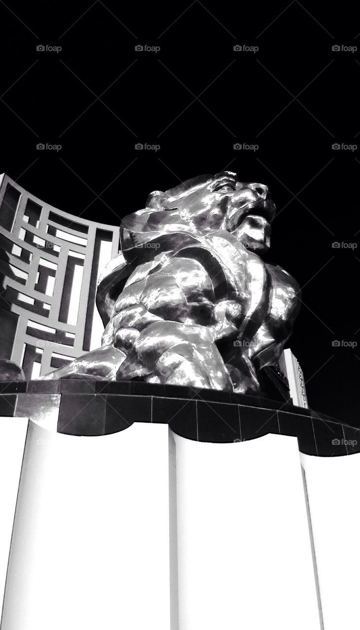 MGM noir lion 