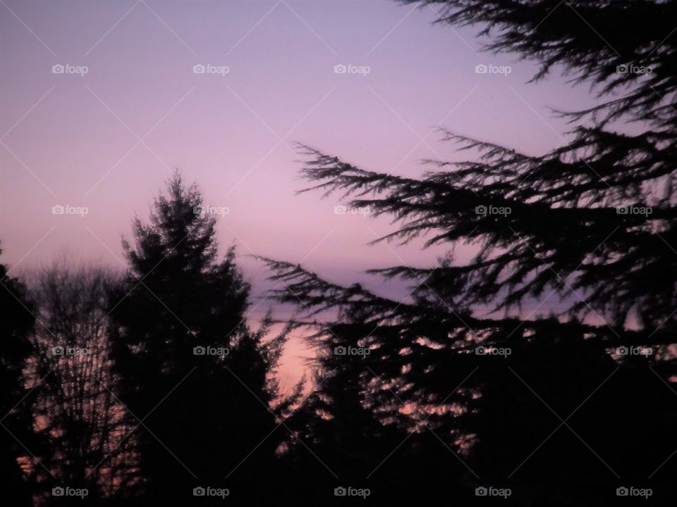 mauve dusk