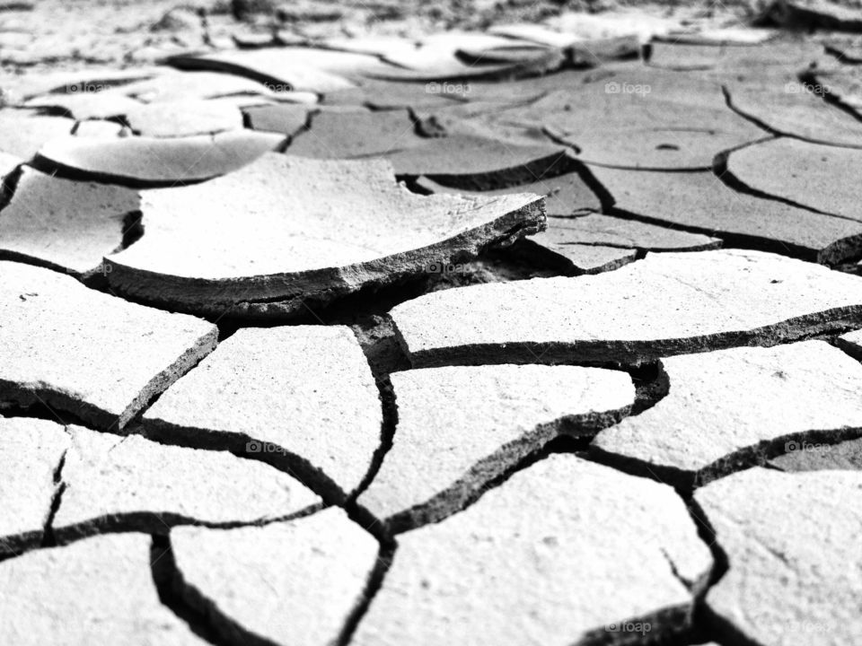 Cracked Dry Mud Land