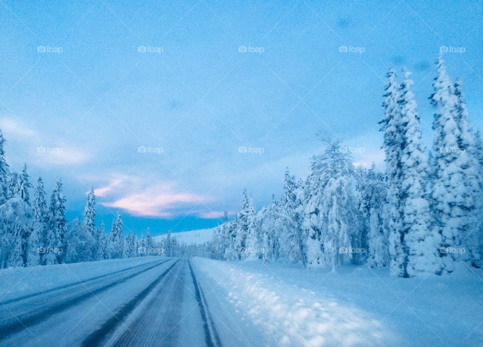 The blue sky moment and the snowy road in Lapland surraunded by snowy trees 