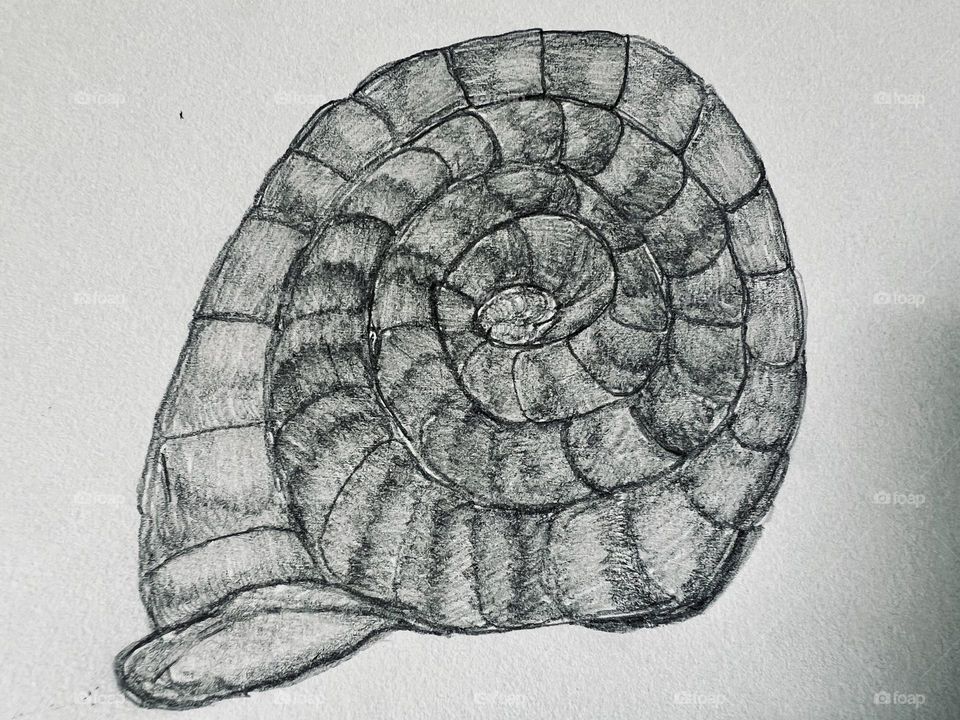 Shell