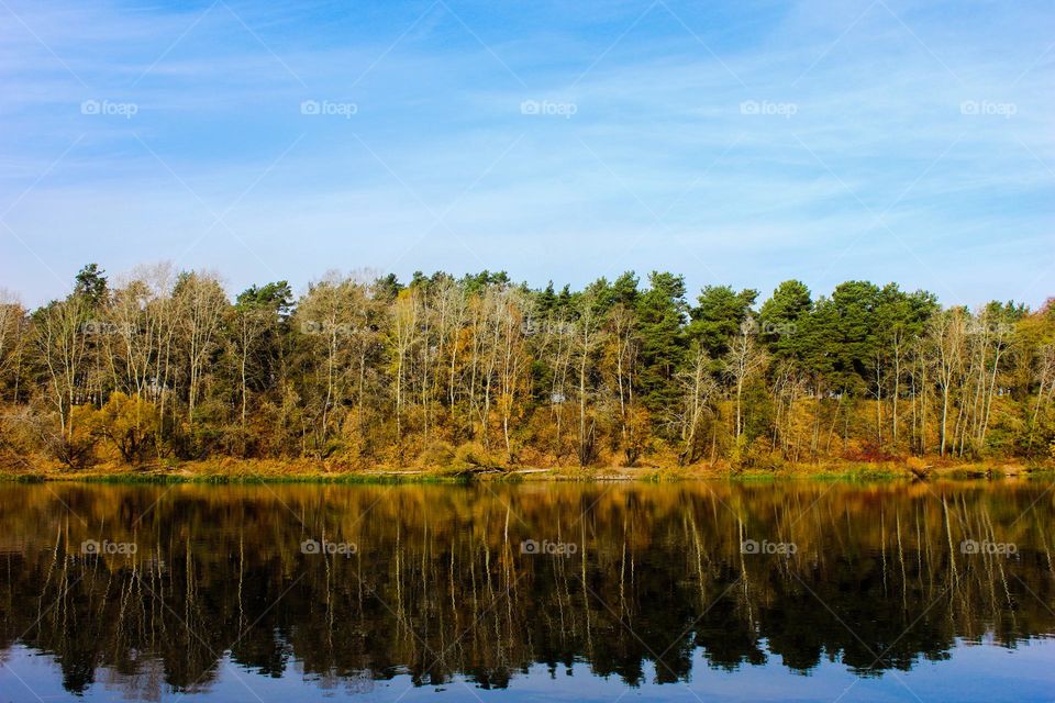 Autumn forest and its imprint in the river.