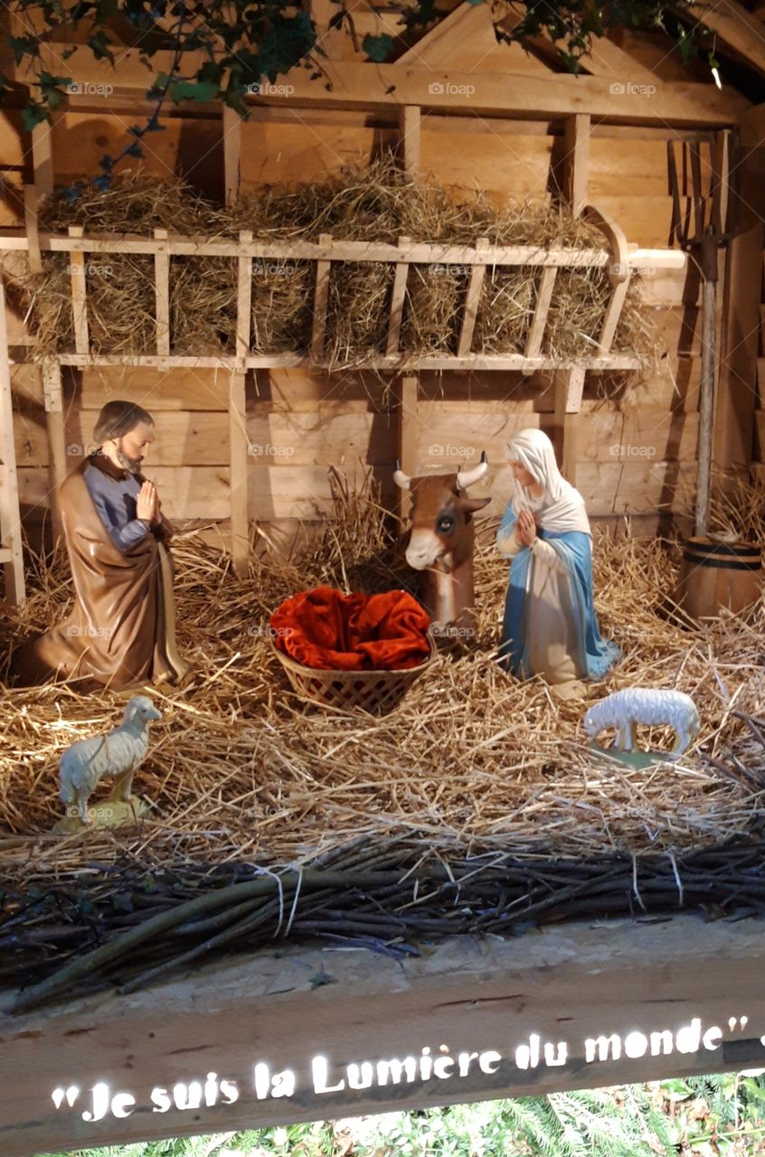cathedral of Lisieux waiting for christmas
