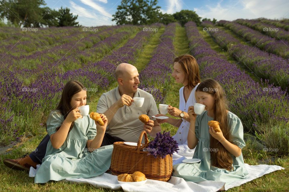 Family having a picnic in the park