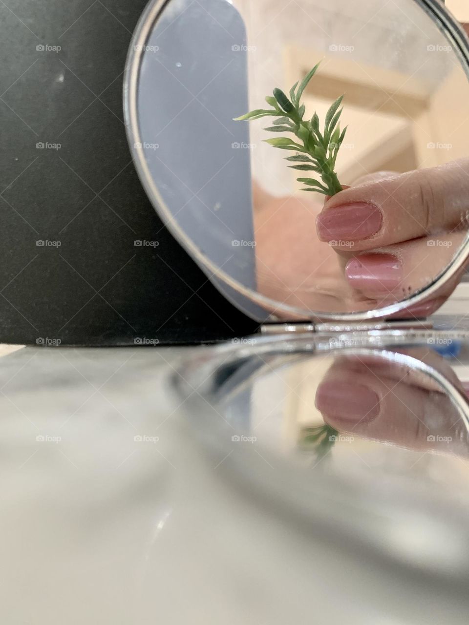 Close-up reflection of a hand holding a plant twig