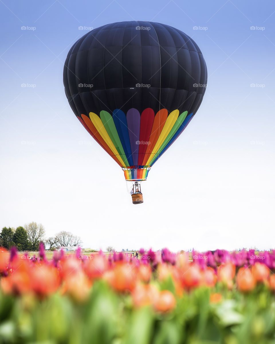 Colorful spring balloon