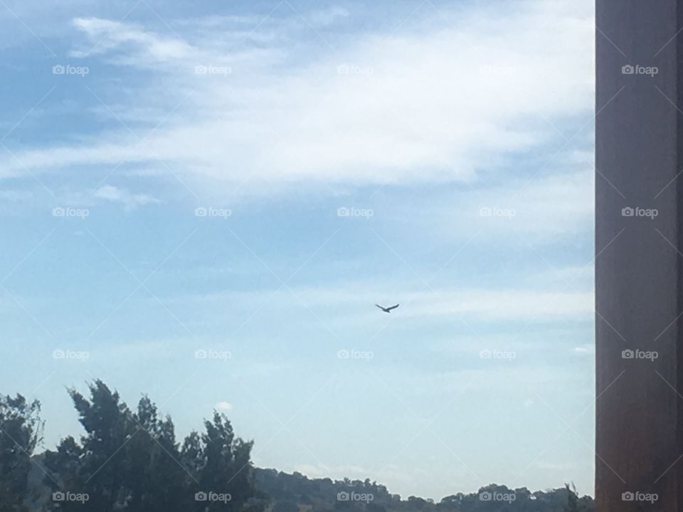 Sky, Landscape, Airplane, No Person, Travel