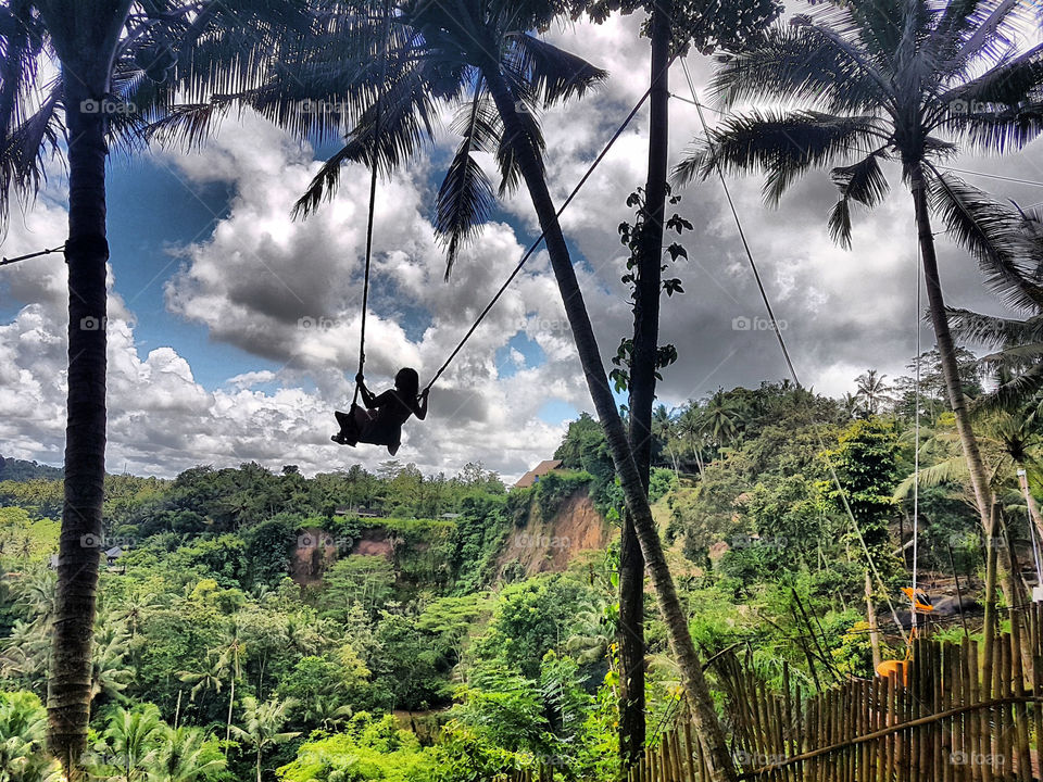 i wanna fly over the jungle so high