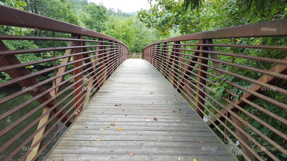 Wood, Wooden, Bridge, No Person, Footbridge