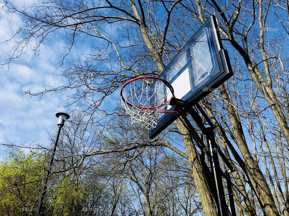 Gorgeous flowers and trees seen while walking and thoroughly enjoying all nature has to offer! 
