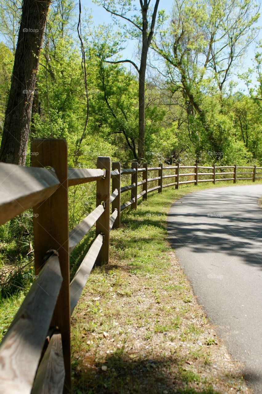 Path with fence