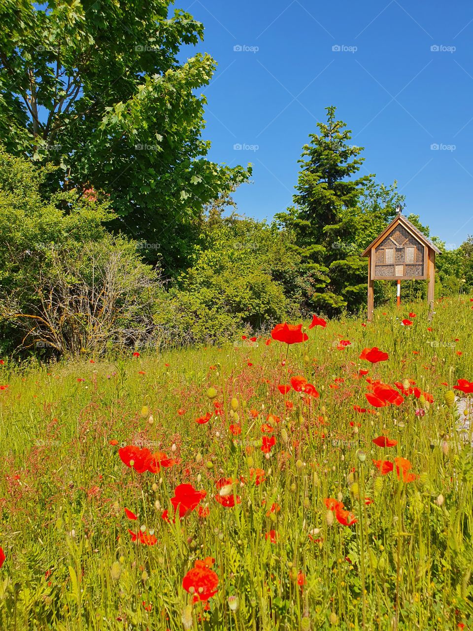 Idylle in den Alpen