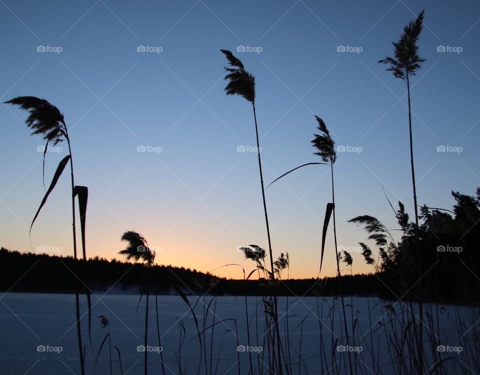 Sunrise at the lake