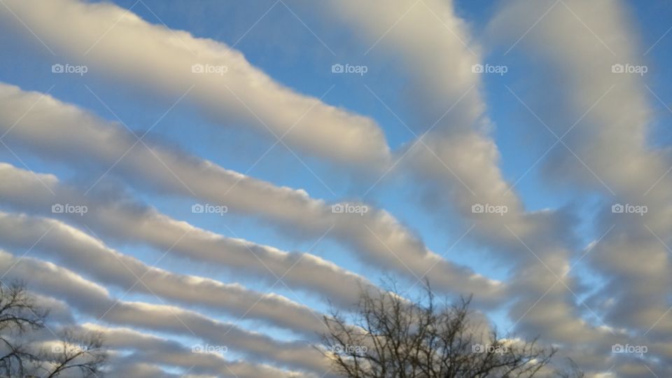 Rows of Clouds