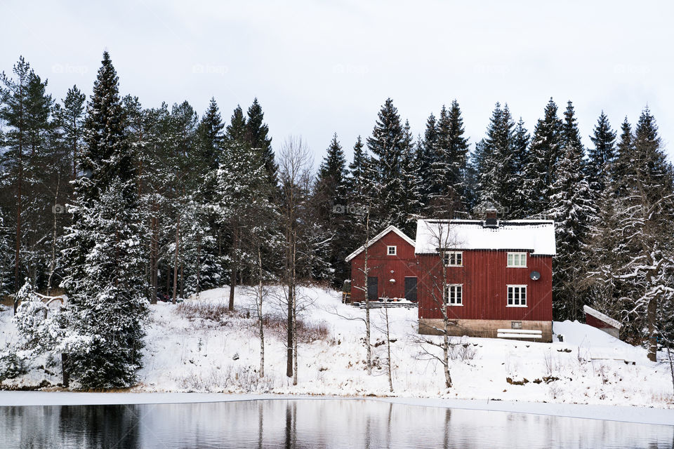 Winter Cabin
