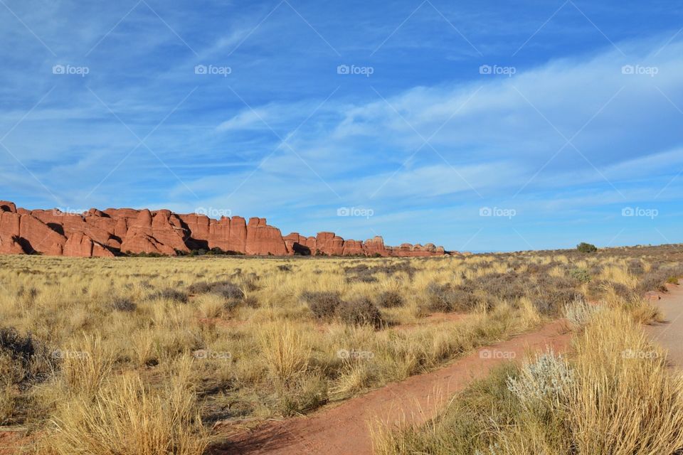 Desert Landscape with red rocks