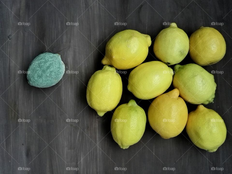 Directly above shot of moldy lemon