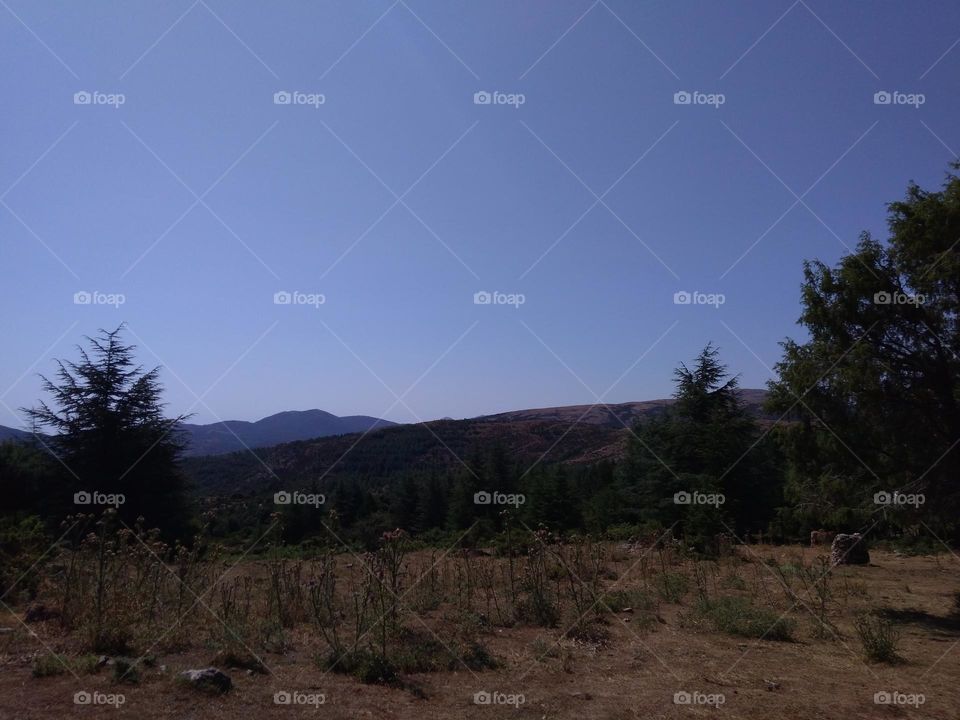 Editors' Choice - Photo of the Week