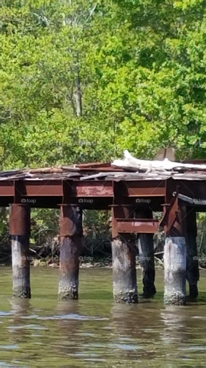 Rustic pier in Louisiana swamp