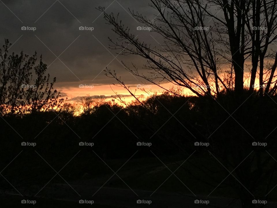 Country views from my porch