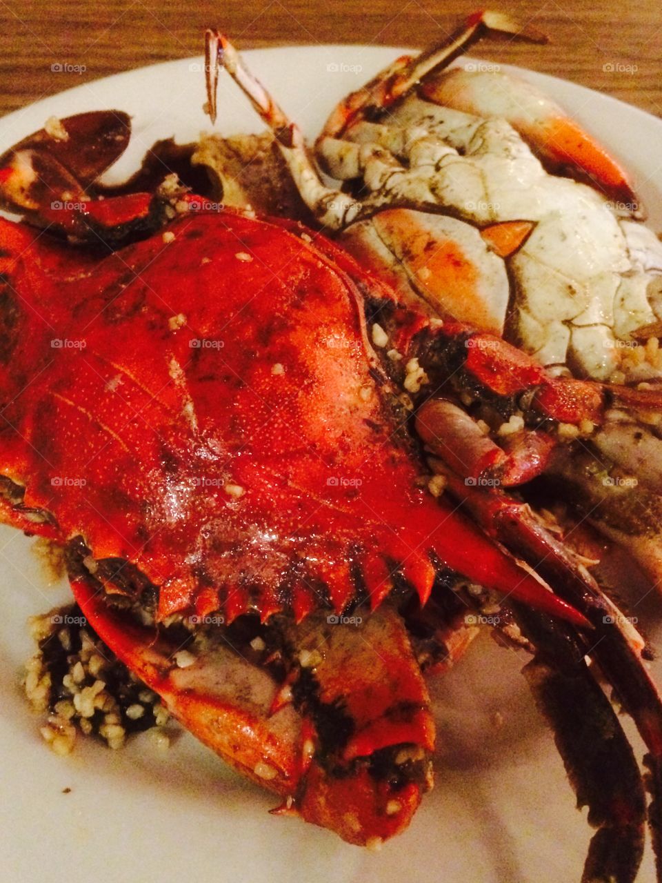 Singapore Mud Crab