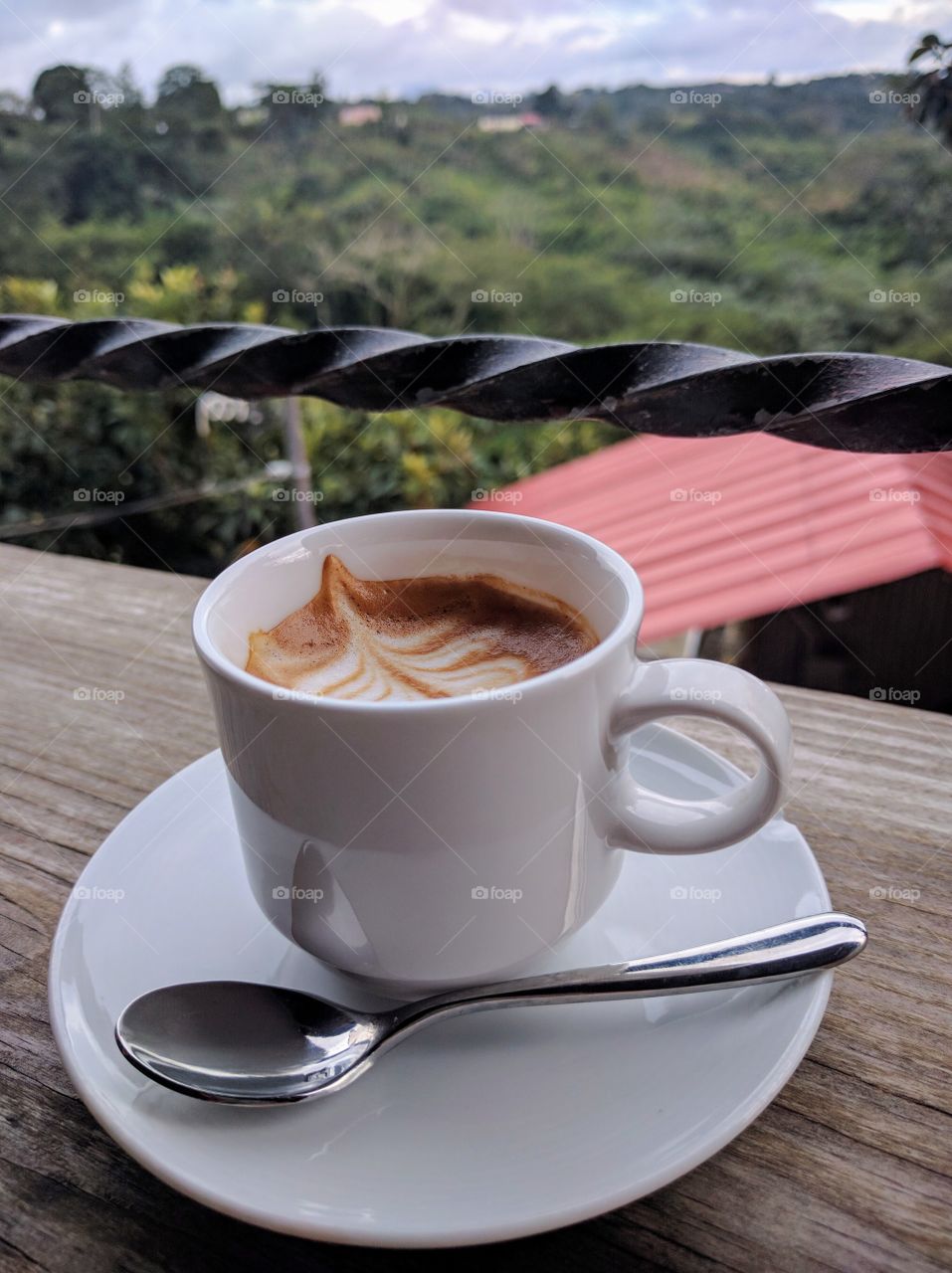 Cortadito