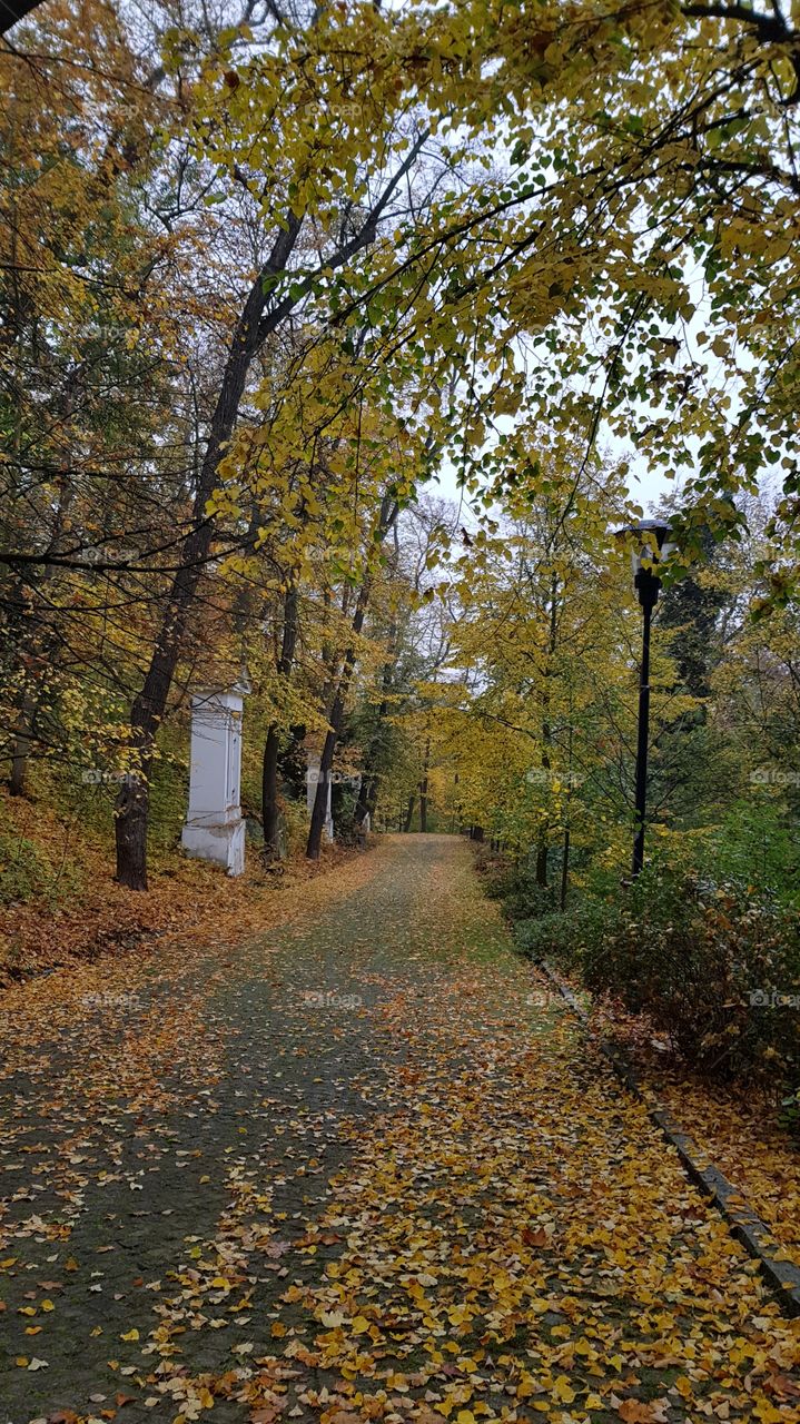 Beautiful autumn in park in Prague