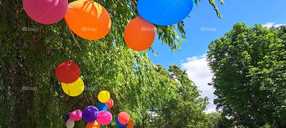 Balloons on a tree