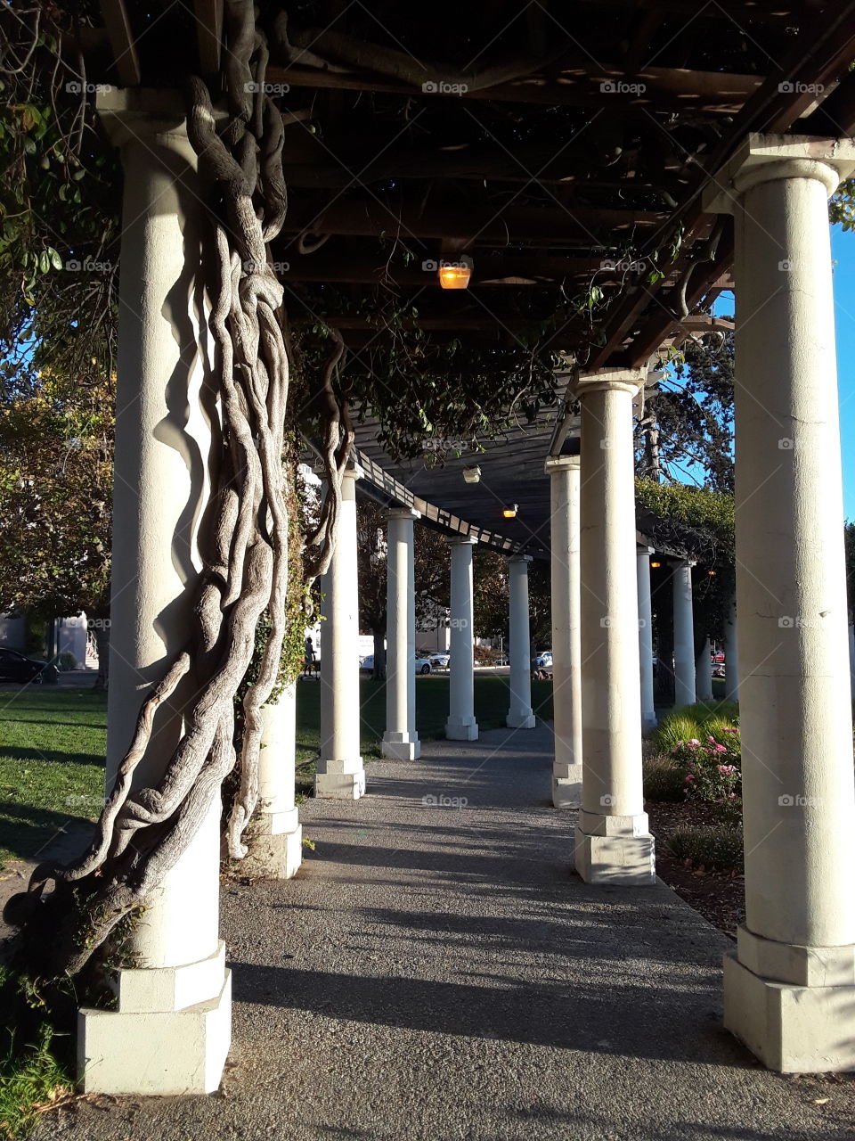 Lake Merritt Oakland California