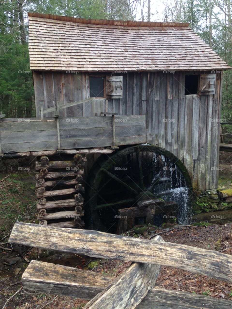 Great Smoky Mountains National Park