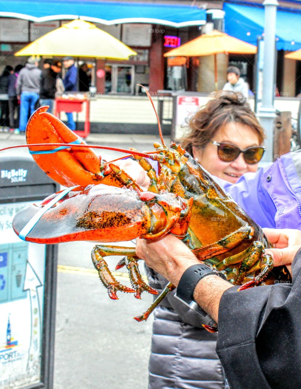 Giant Lobster, sightseeing one weekend in San Francisco