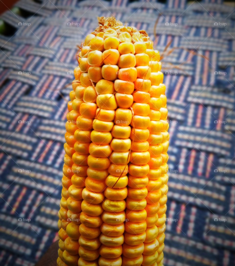 a corn cob