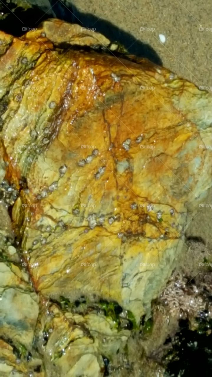 Rustic stone
