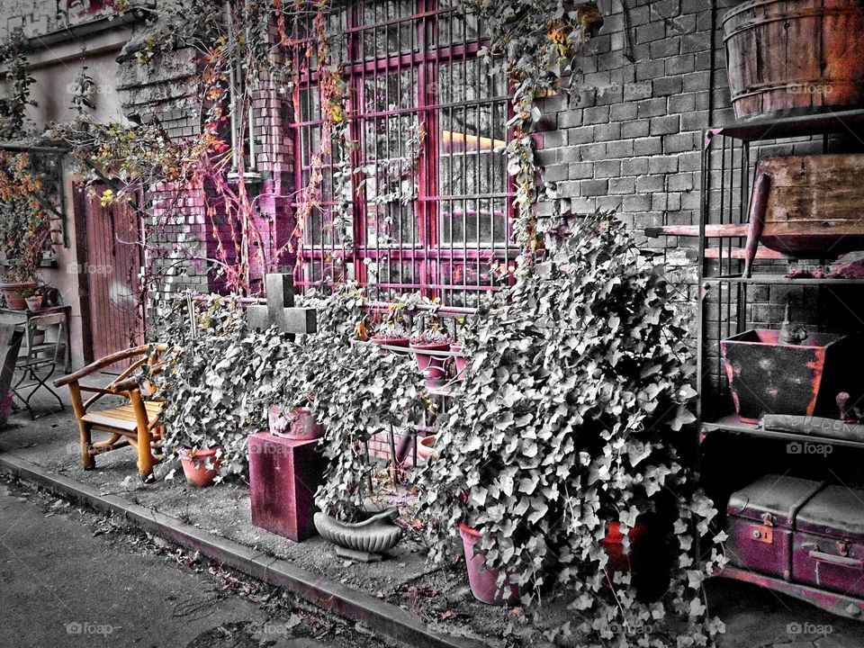 mystic backyard in berlin