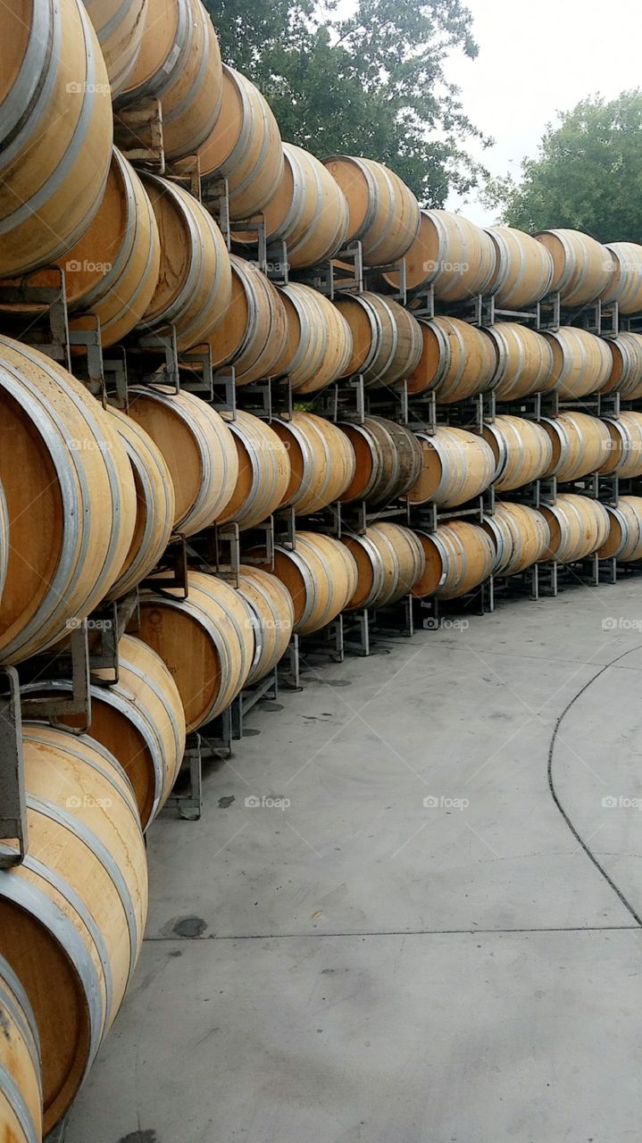 Rows of wine barrels