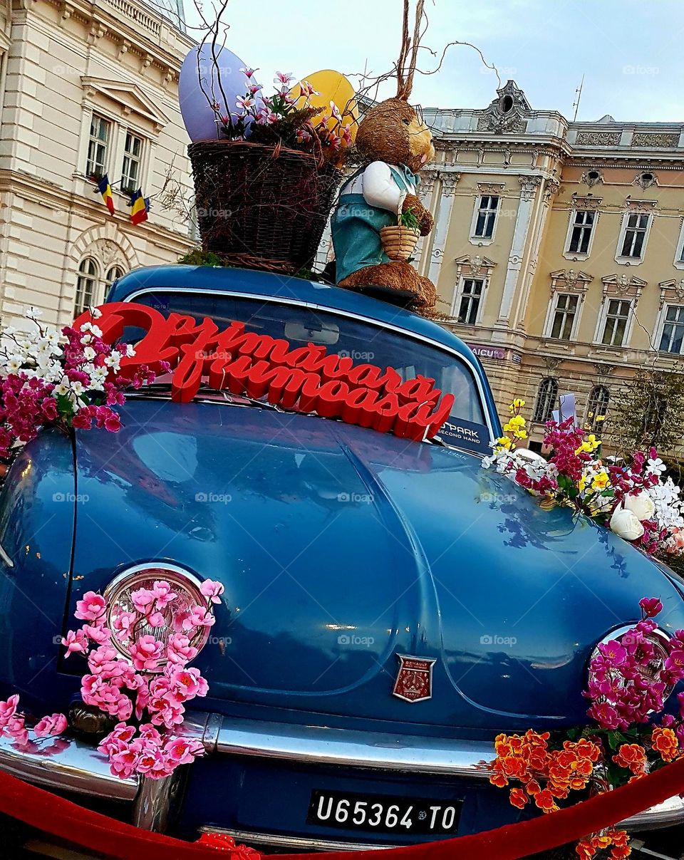 magenta flowers on the car