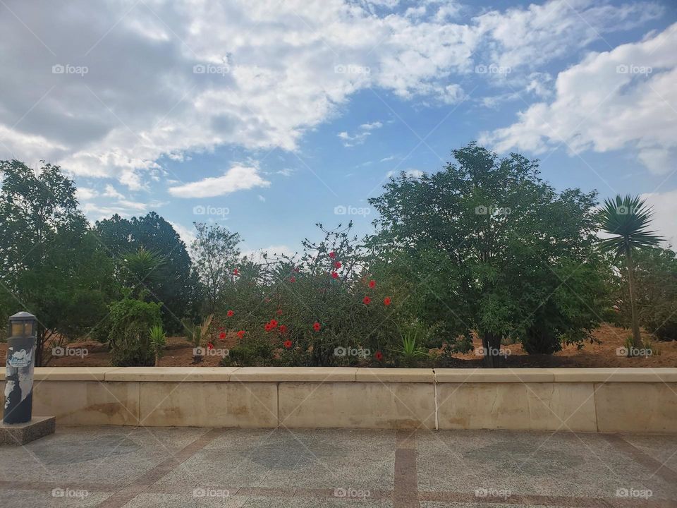 Glory be to God, the magnificent and picturesque view and the natural green trees are a view that is nothing more wonderful than it