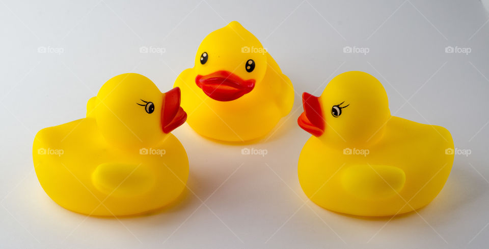 Duck talks. Just photo of my favorite rubber ducks.
