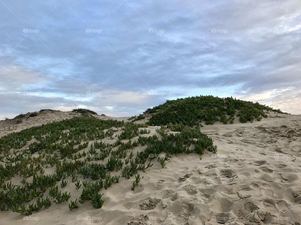 Pismo Beach, CA