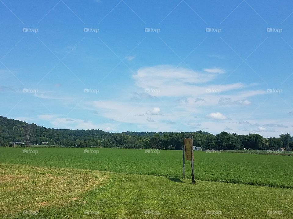 Driving the Back Roads and enjoying everything around us