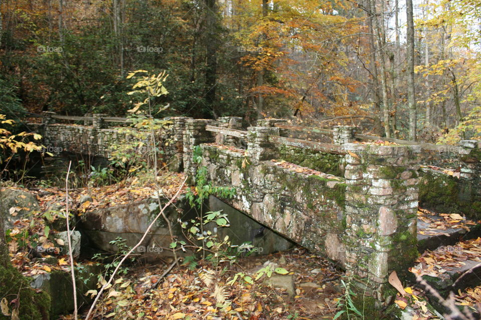 Hiking bridge