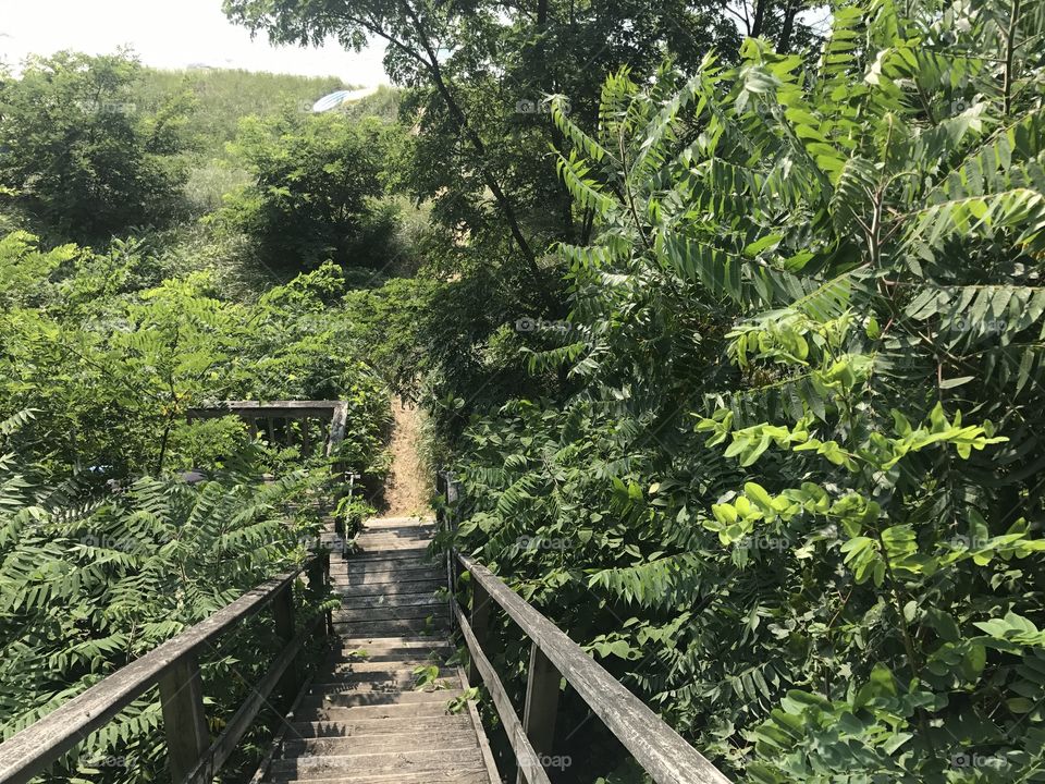 Stairs to the beach 